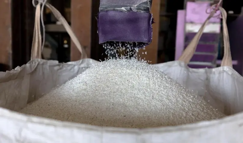 泰國米業掀改革風暴！總理祭新貸款計畫 回收300萬噸稻穩市場