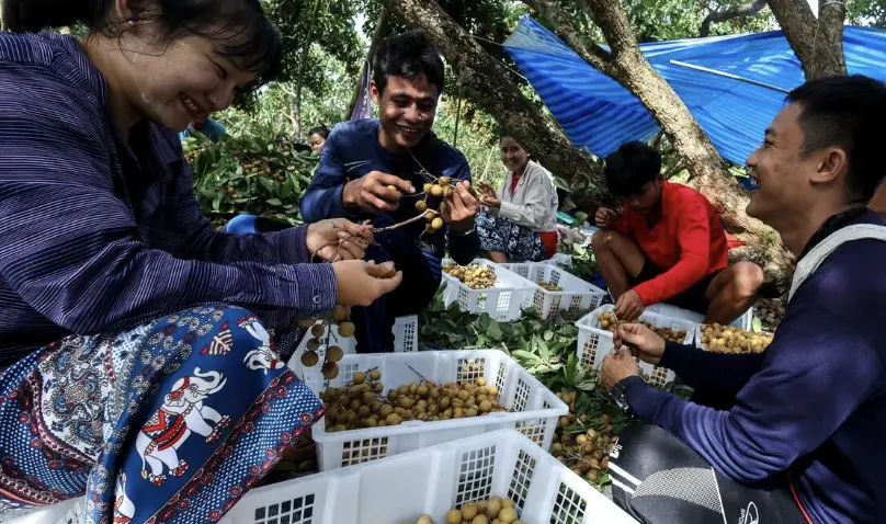 ▲泰國啟動一年期難民工作許可後，緬甸難民終於能展開首份合法工作。（圖／路透社／達志影像）