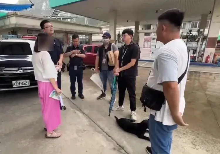 觀音指示也不行！嘉義婦餵流浪狗害慘居民 挨罰8萬6又推巡查員