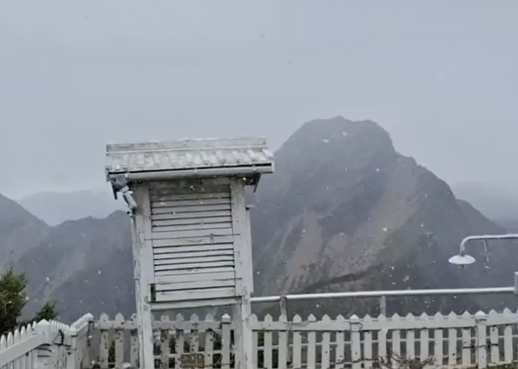 寒流還沒來「玉山下初雪了」！今中午白雪飄30分鐘 現場畫面出爐