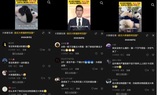 ▲東京上野動物園的兩隻大熊貓將於明年2月返回中國，中媒警告，若中日關係持續惡化，中國將停止租賃大熊貓給日本，引發網友嘲諷。（圖／翻攝自抖音）