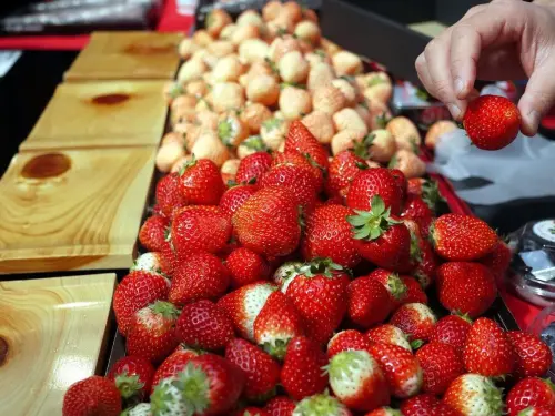 福島5縣食品解禁了！不只福島牛、櫪木草莓　6大饕客最愛美食一覽
