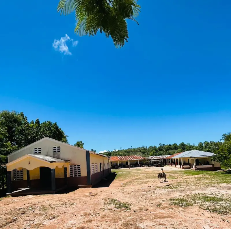 美國2噁男密謀組軍隊！攻佔海島殺光男人、女人小孩當性奴