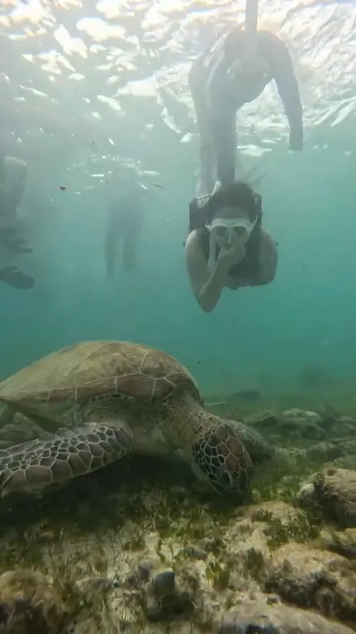 ▲鄭佩琦裸辭後，帶著女兒到菲律賓宿霧遊學一個月，周周瘋跳島。她才發現，討厭水的她竟然喜歡潛水。（圖／鄭佩琦提供）