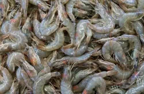 宏都拉斯與台斷交下場慘！台灣大使曝數據：中國承諾沒兌現
