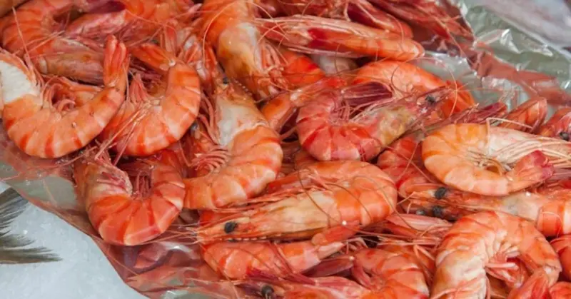 ▲宏都拉斯與台灣斷交，轉頭與中國建交，導致白蝦對台灣的出口量崩跌，反對派總統候選人喊話與台灣復交。（示意圖／翻攝自pexels）