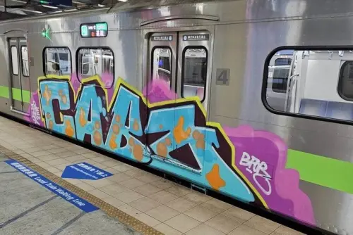 列車遭大面積噴漆塗鴉！台鐵報警將求償　最重可判7年
