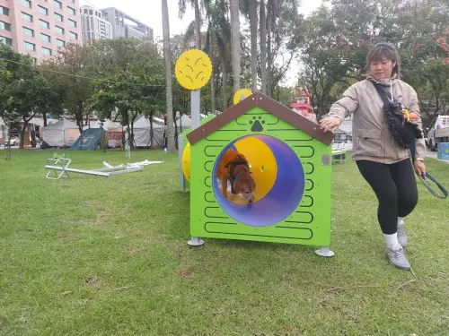 ▲從11月17日開始，板橋車站站前廣場區域就已經設置多項寵物專屬遊具。（圖／新北動保處）