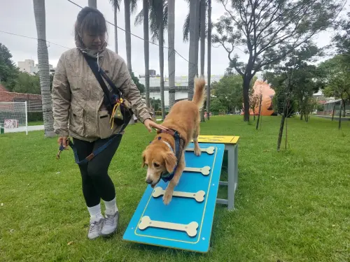 ▲板橋車站站前廣場將設置10種寵物遊樂設施，讓狗狗也能享受新北耶誕城的氛圍。（圖／新北動保處）