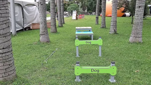 ▲寵物跳桿考驗狗狗的跳躍能力。（圖／新北動保處）