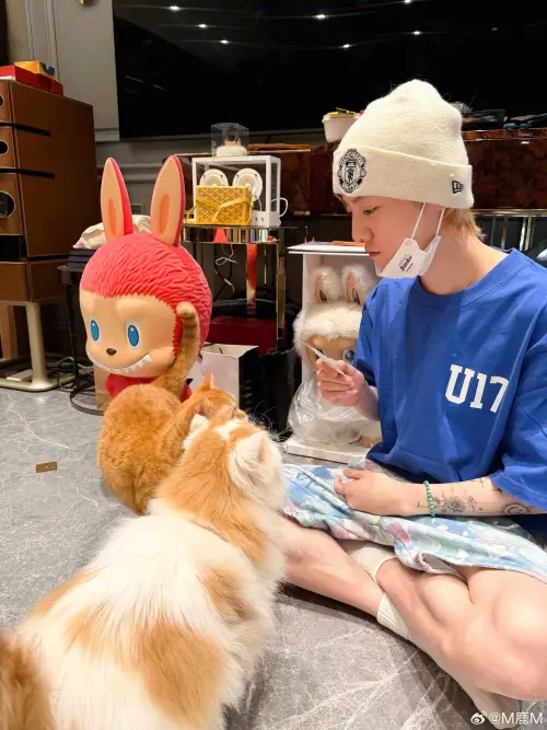 ▲鹿晗曬毛孩，意外曝光超豪華豪宅內部。（圖／翻攝自鹿晗微博）