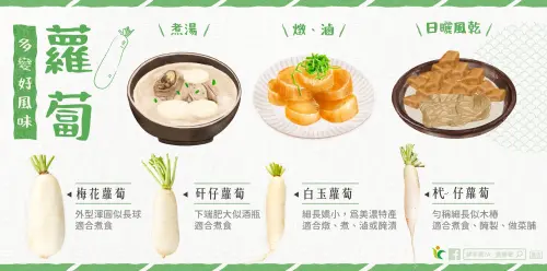 ▲目前台灣市場上常見到的「蘿蔔家族」主要有梅花蘿蔔、矸仔蘿蔔、白玉蘿蔔以及杙仔蘿蔔這些品種。（圖／農糧署）