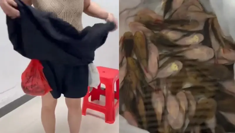 中國女長裙下巨物鼓起！海關掀裙驚見229條活魚　海鮮味全飄出