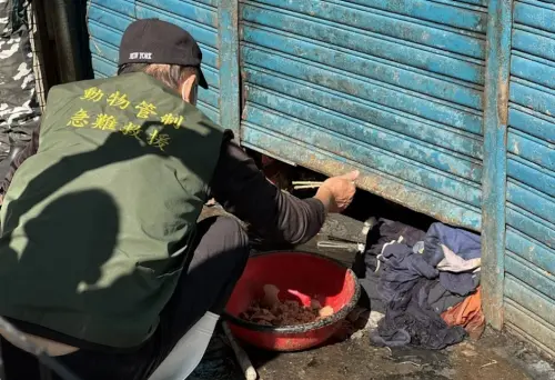 高雄7旬翁退休孤獨死　疑遭14隻狗啃食　身分個性曝光！
