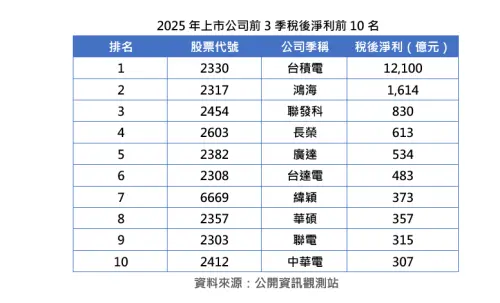 ▲ 2025年上市公司前3季稅後淨利前10名。（圖／中華徵信所提供）