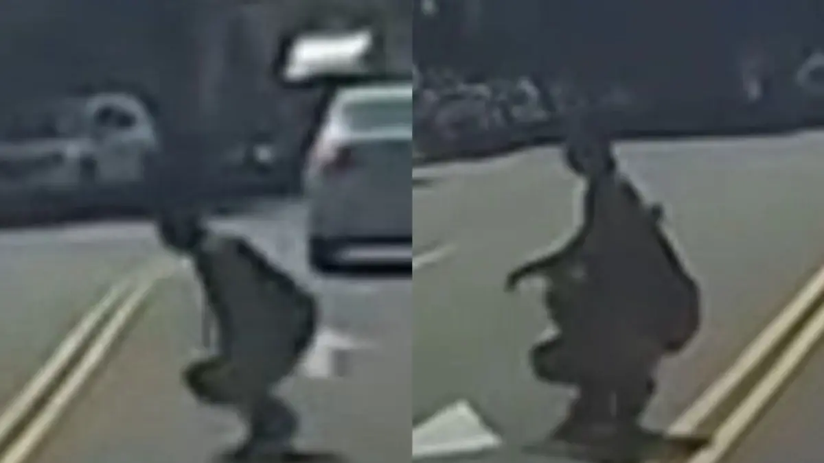 彰化驚險一幕！男無視車流「青蛙跳」過馬路 網轟：根本在玩命