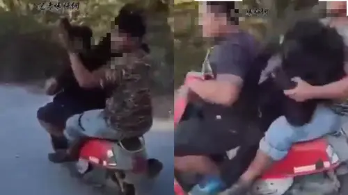 屏東大武部落獵殺4黑熊！掏空內臟「機車3貼運屍」　9獵人全無罪
