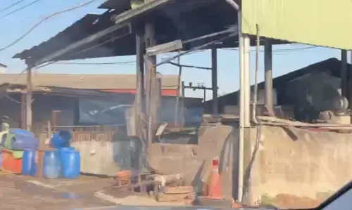 ▲養豬場裡不斷冒出蒸煮廚餘的白色蒸氣。（圖／台中市議員江肇國提供，2025.11.26）