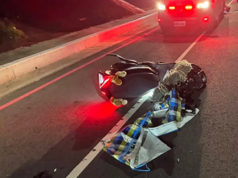 新北樹林1死1傷車禍！莽男抓螃蟹亂穿堤外道返家　騎士閃不過猛撞