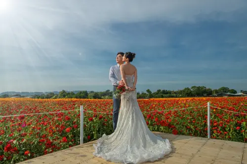 ▲新社花海暨臺中國際花毯節絕美婚紗攝影(圖／觀旅局提供)