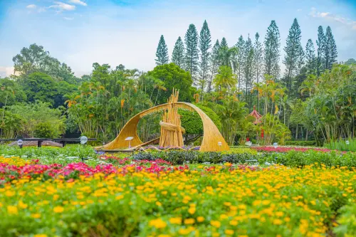 2025士林官邸菊展11/28登場！15大展區　開幕、交通、停車場一覽
