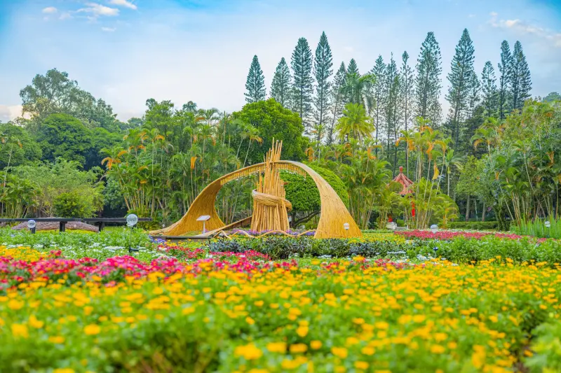 2025士林官邸菊展11/28登場！15大展區　開幕、交通、停車場一覽