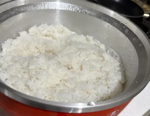 外國人用大同電鍋煮飯！「失敗成品照」逼急台灣人：不是那樣用的
