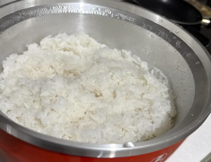 外國人用大同電鍋煮飯！「失敗成品照」逼急台灣人：不是那樣用的