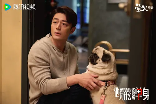 《他為什麼依然單身》線上看16集沒翻車！霍建華、朱珠這結局
