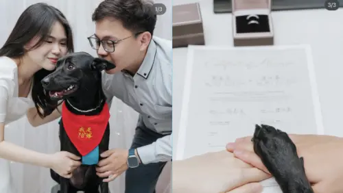 ▲「張君雅」簡嘉芸與朋友歡慶22歲生日，女大十八變的性感模樣，讓眾人眼睛為之一亮！（圖／翻攝自IG）