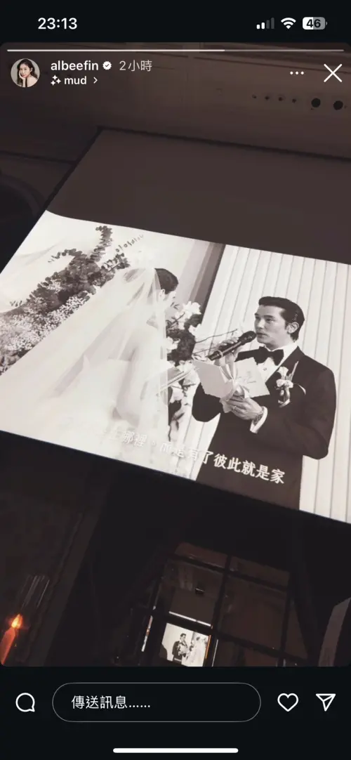 ▲邱澤對許瑋甯深情說出結婚誓詞。（圖／翻攝自IG@albeefin）