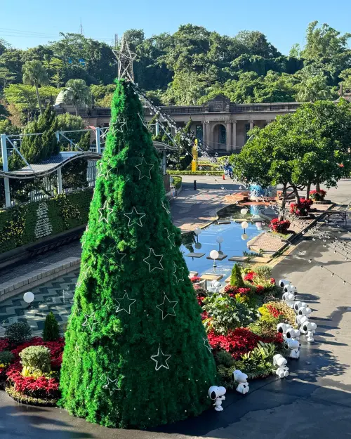 ▲「公館聖誕季」將從今（29）日於臺北自來水園區登場，現場已有聖誕樹。（圖／取自臺北自來水園區臉書www.facebook.com/goodwatertaipei/）