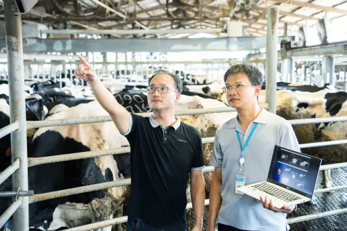 農工合作推乳牛「INBODY」　工研院打造AI助手成為農漁牧新夥伴
