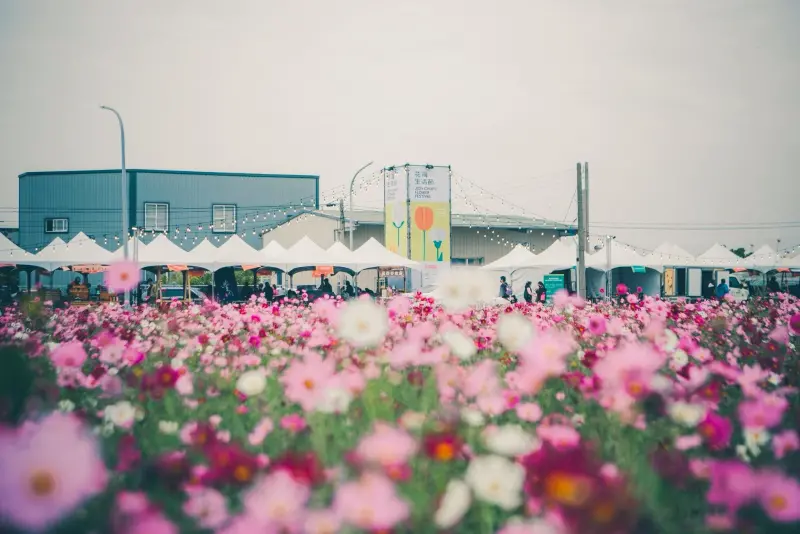 2025嘉義花海生活節登場！音樂表演卡司、節目表、交通與接駁整理