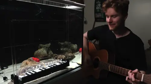 ▲（圖／翻攝自YT頻道「Mattias Krantz」）