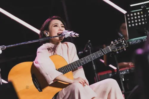 ▲戴佩妮（如圖）今日演唱遇到擋音版砸下來的小意外，她表示人生第一次被砸到，唱完要去收驚。（圖／簡單生活節提供）