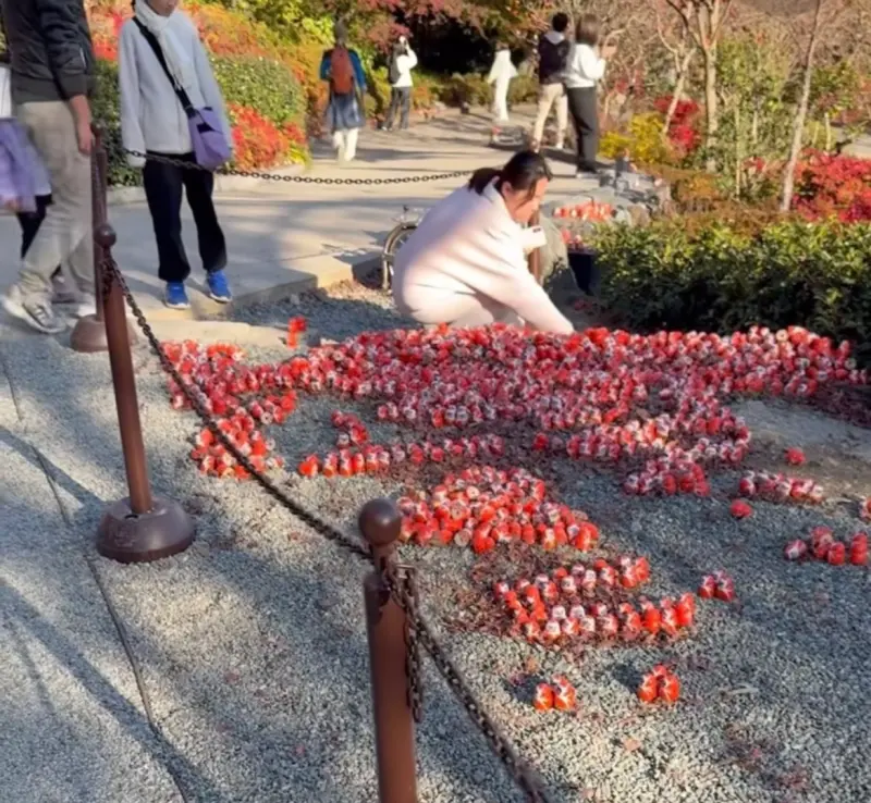 中國女破壞台灣達摩陣！大阪勝尾寺稱「不知情」：人人都是地球人