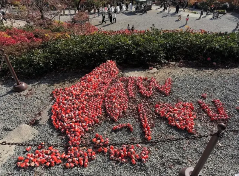    ▲日本勝尾寺驚傳爭議，中國籍女子無視封鎖線，闖入限制區大肆破壞。有民眾貼出遭破壞前的照片，「台灣圖案」與「TW」清晰可見。（圖／攝自fugogo）  