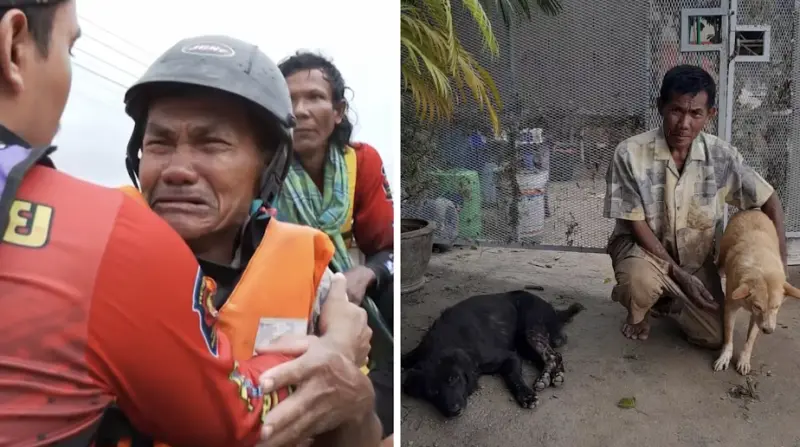 洪水奪走老翁兩愛犬又奇蹟團聚　痛哭畫面揪心全泰國一起落淚