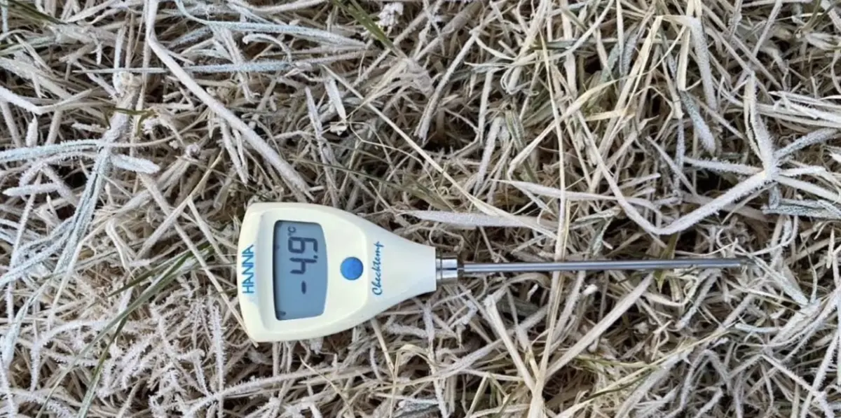 創入冬新低！泰北冷空氣再增強 清邁茵他儂山頂驟降至零下4.9度