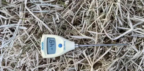 創入冬新低！泰北冷空氣再增強　清邁茵他儂山頂驟降至零下4.9度
