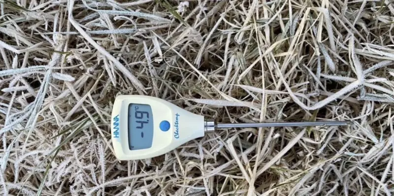 創入冬新低！泰北冷空氣再增強　清邁茵他儂山頂驟降至零下4.9度