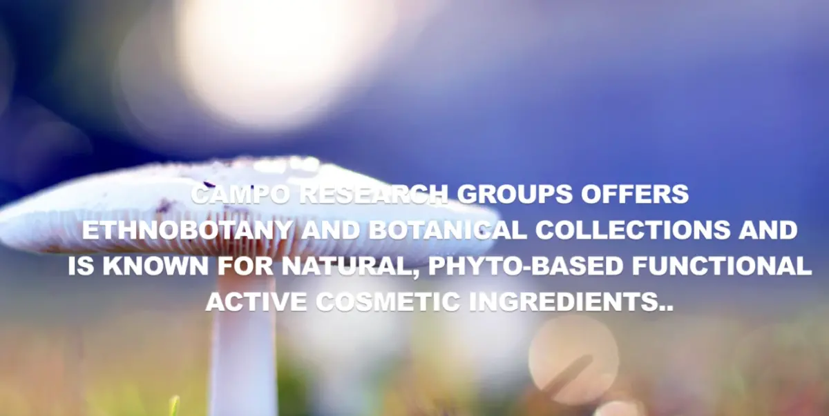 蘇丹紅風暴延燒！新加坡原料疑造假 廠商砸錢買天然卻中鏢求追查