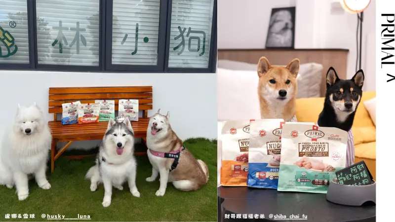 特企／全台瘋毛孩旅行　指定住宿送美食