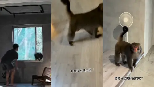 ▲袁艾菲家中遭猴子闖入，夫妻倆多次嘗試驅趕，甚至一度驚聲尖叫，相比之下猴子看起來相當冷靜。（圖／袁艾菲 IG @yuanlovefly）