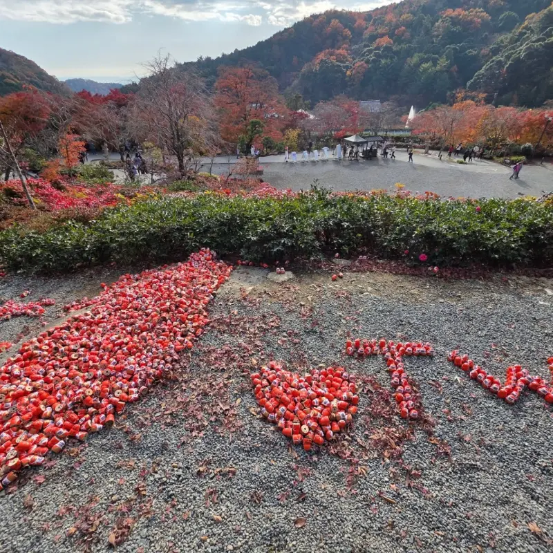    ▲被中國遊客破壞的大阪勝尾寺台灣達摩陣，1日早上在台灣遊客齊心協力下復原。（圖／wuhsuehlin授權提供）  