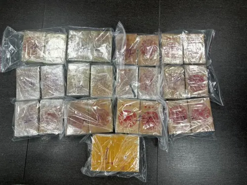 ▲臺越跨境合作偵破運毒集團　查獲雙獅牌海洛因磚52塊。（圖／翻攝畫面）