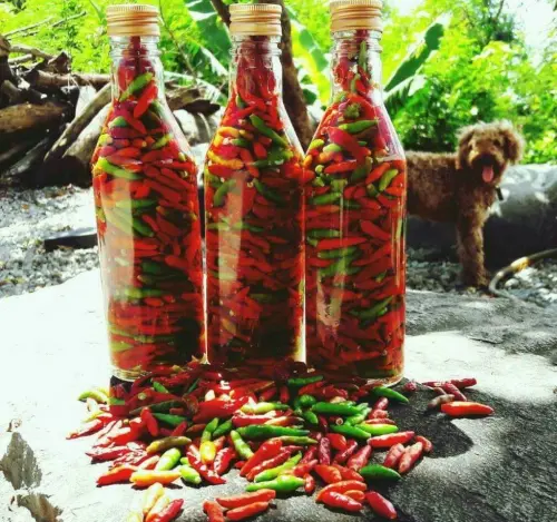 ▲來自台東縣太麻里產銷班，推出原住民小辣椒，寒冷的冬季最適合搭配小辣椒。（圖／業者提供）