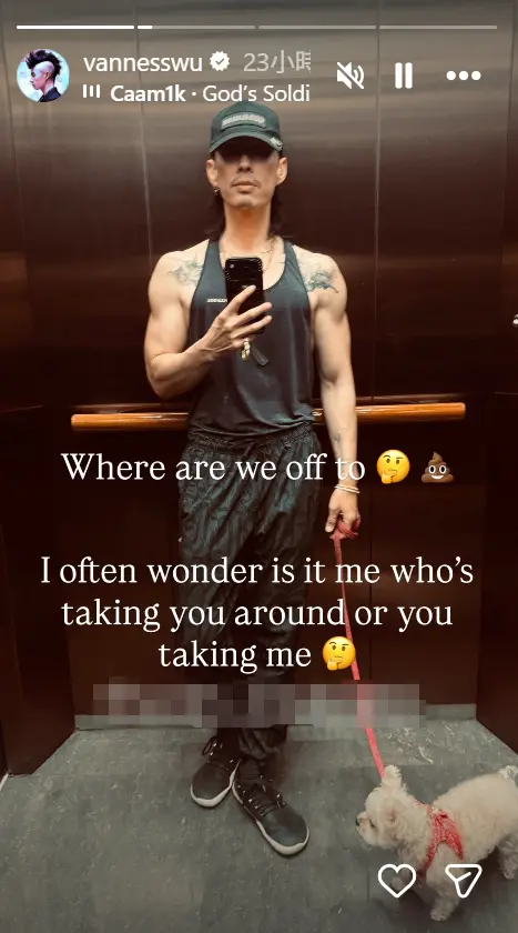 ▲吳建豪被說暴瘦後，又曬出穿無袖的肌肉照。（圖／吳建豪IG@vannesswu）