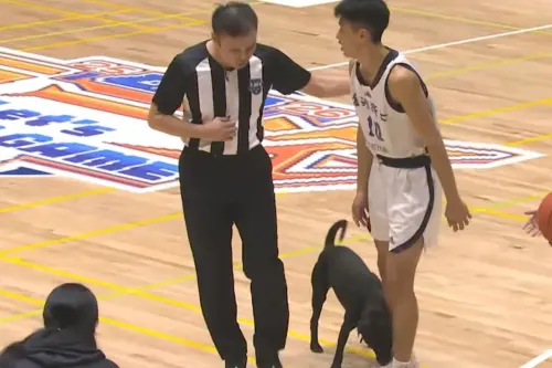 UBA／傻眼！黑狗亂入球場緊咬球員粉紅色球鞋　小娟姊也傻眼苦笑
